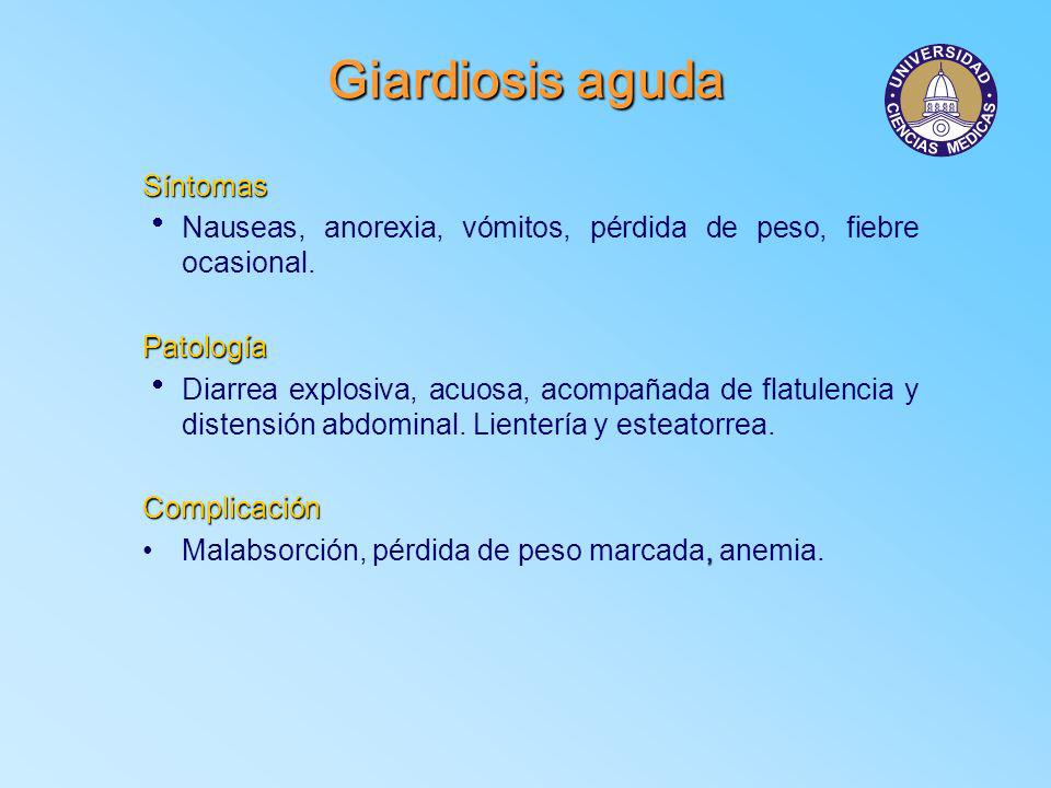 Esteatorrea perdida de peso